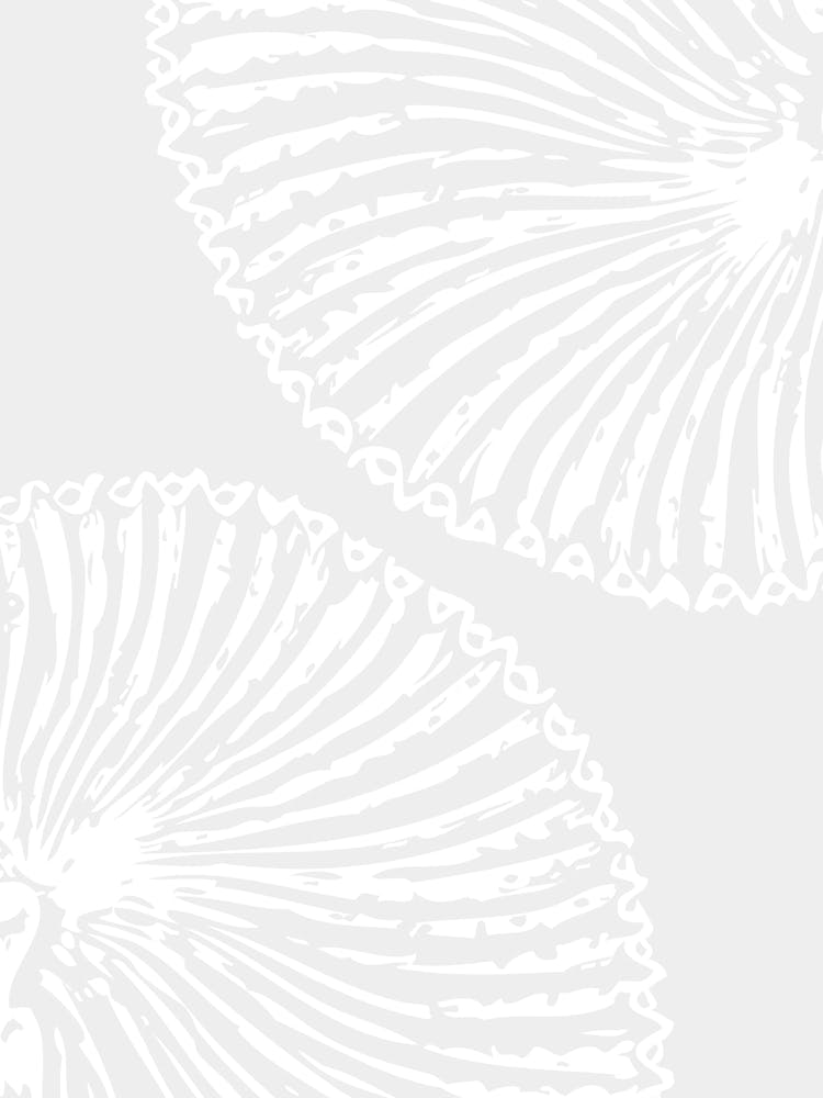 White Shells