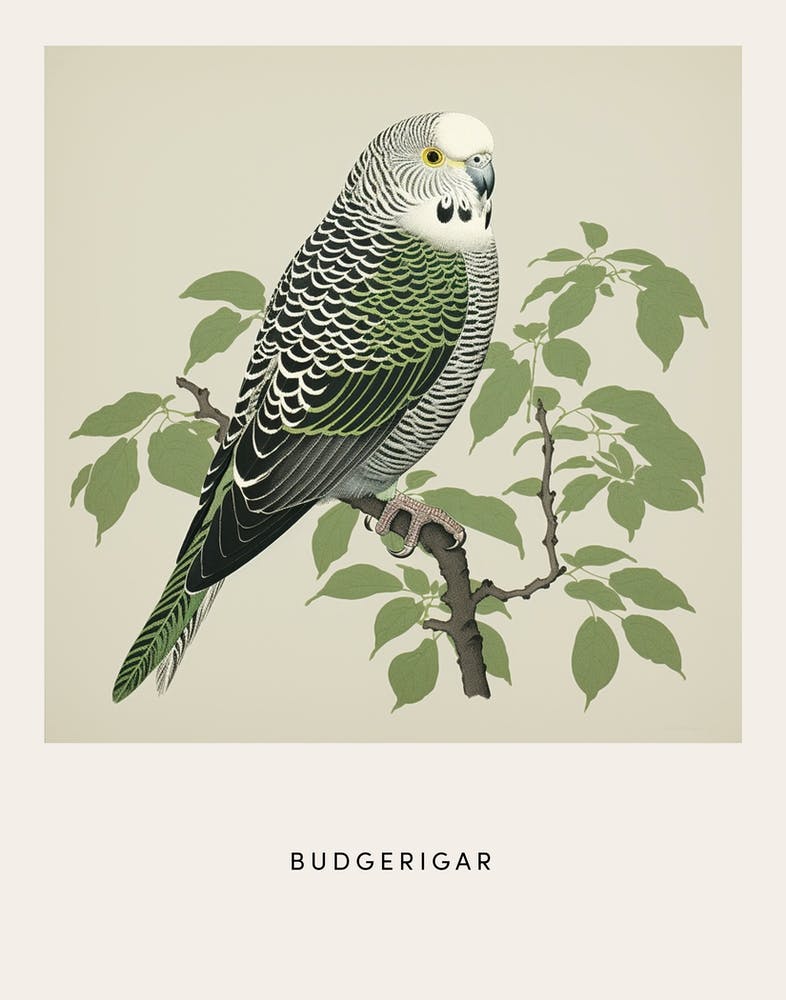 Ohara Koson Inspired Bird Painting Budgerigar 2 Poster