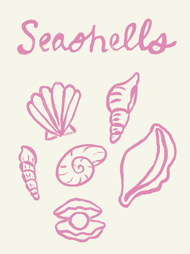 Seashell Doodles, Seashell Line Art, Minimalism Seashell Design 1