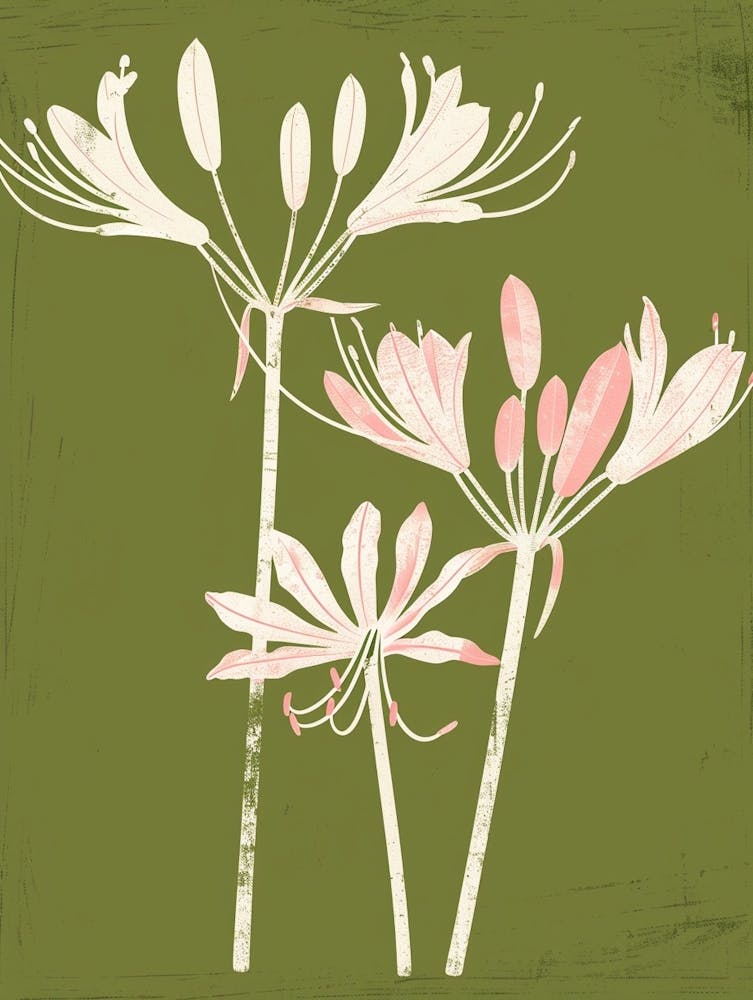 Pink & Green Agapanthus 3