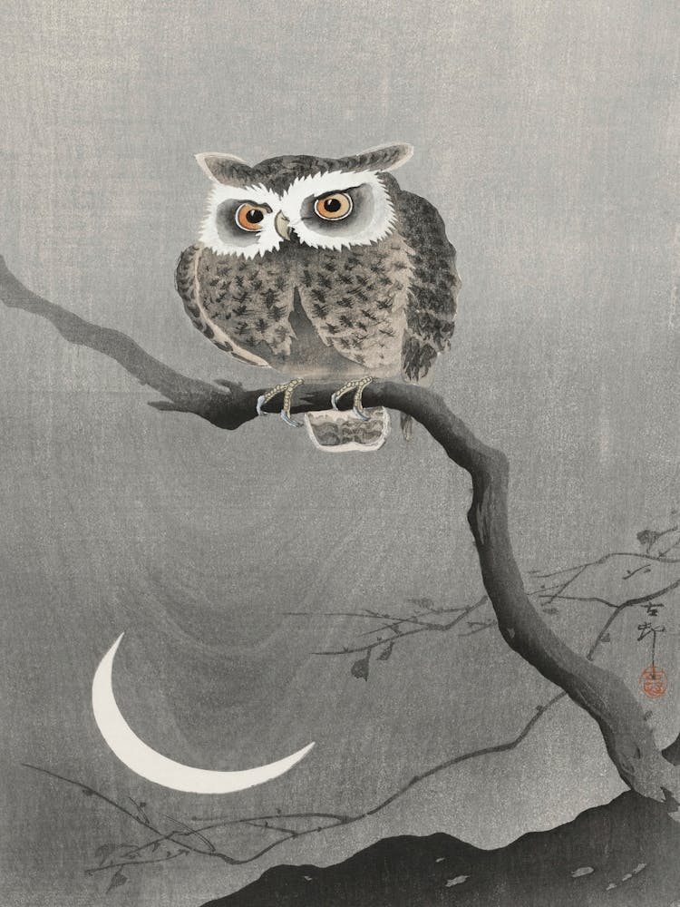 Long Eared Owl On Bare Tree Branch (1900 1930), Ohara Koson