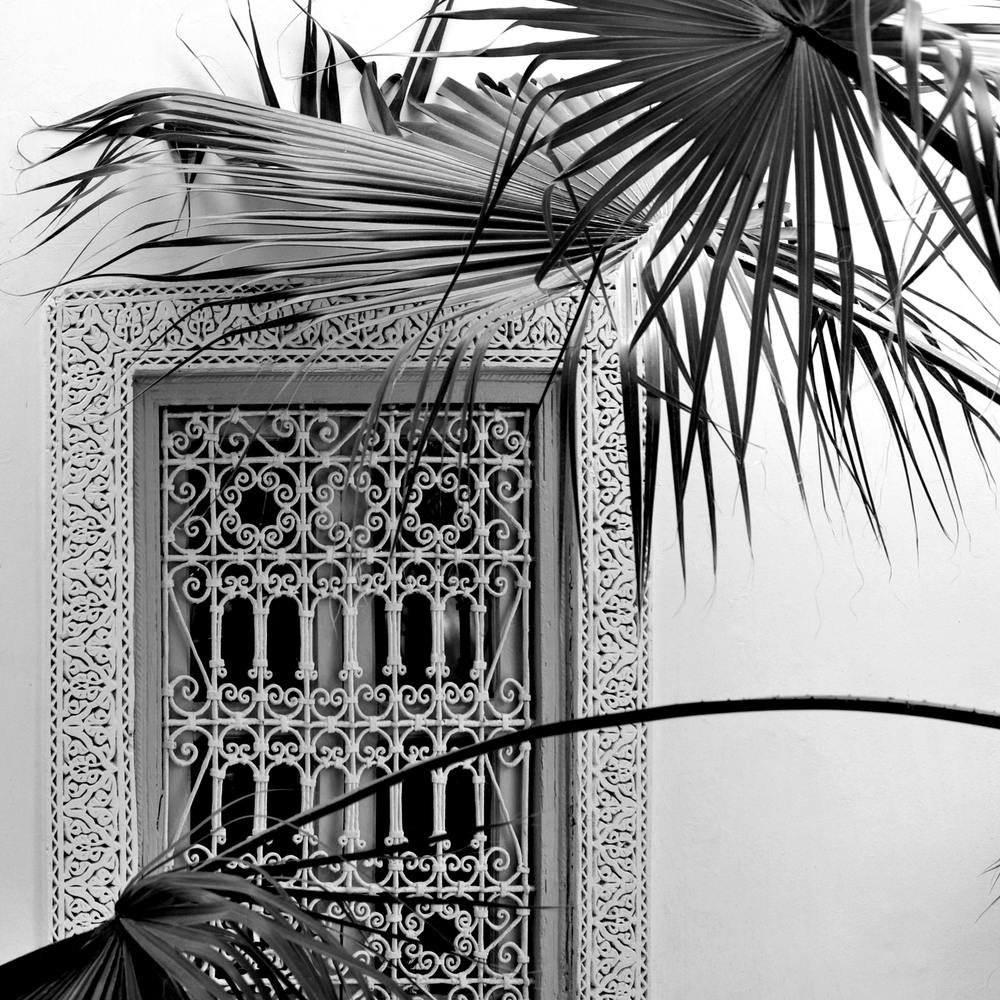 Palms And Garden Dreams Black And White Square