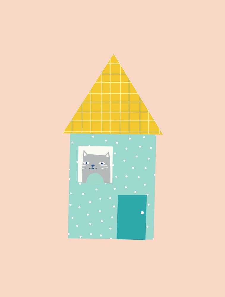 Cat House Illustration