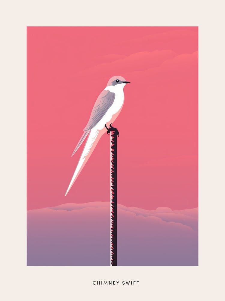 Minimalist Chimney Swift 1 Bird Poster