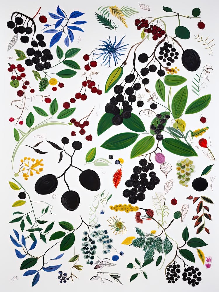 Blackberry Fruit Drawing 4