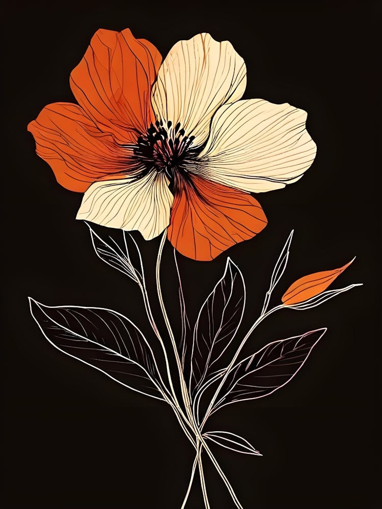 Orange Poppy 1