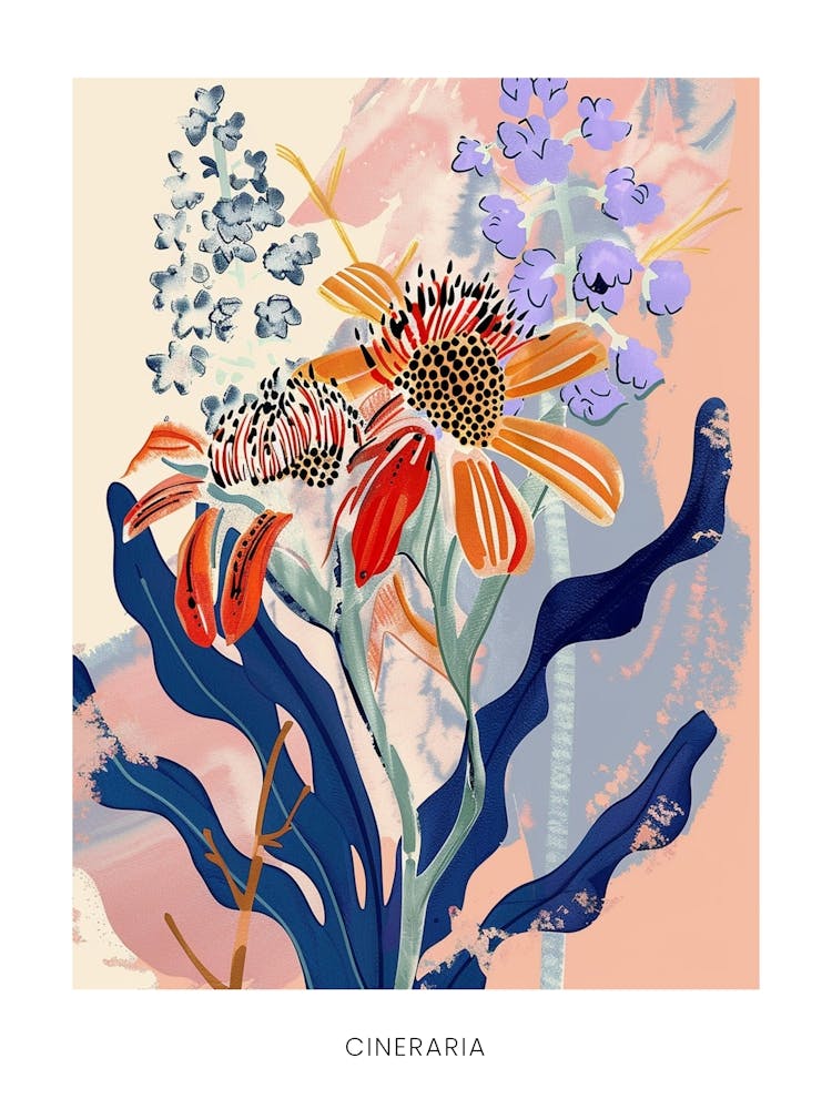 Colourful Flower Illustration Poster Cineraria 5