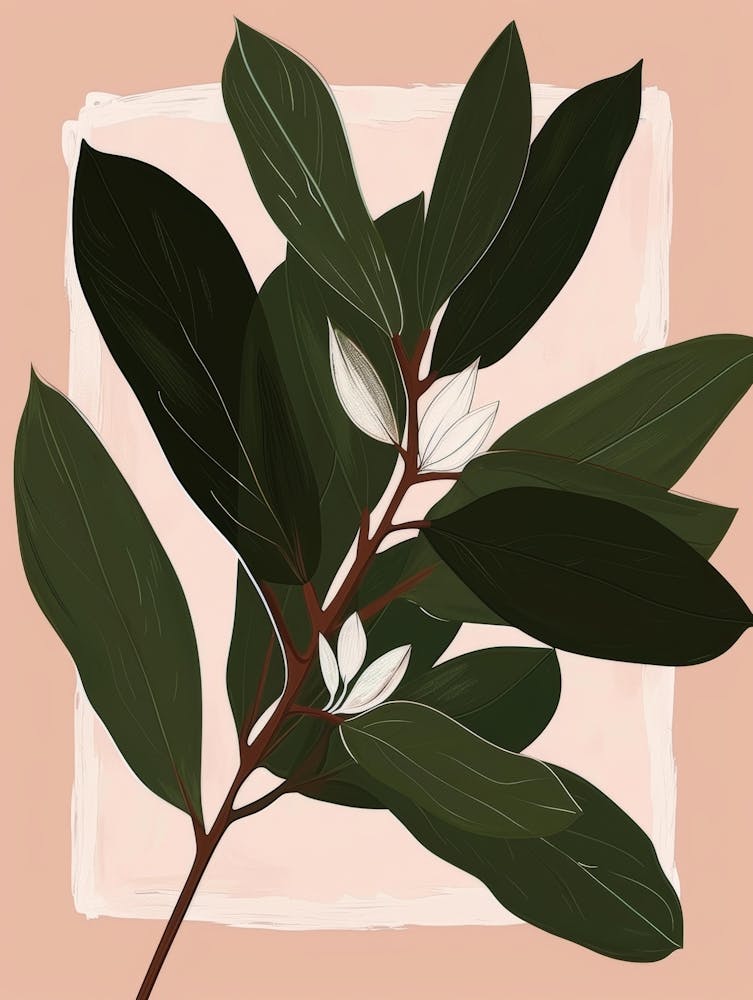 Magnolia Tree