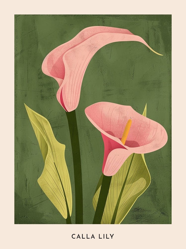 Pink & Green Calla Lily 1 Flower Poster