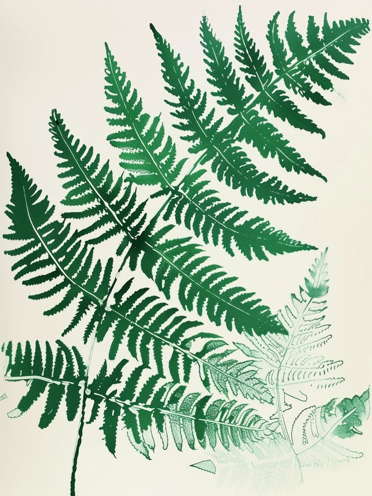 Green Ink Painting Of A Netted Chain Fern 2