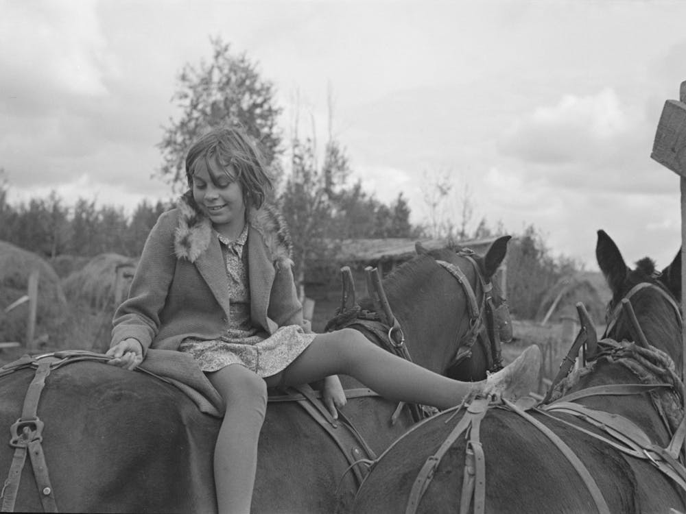 Girl Astride Mule, Farm Near Northome, Minnesota By Russell Lee