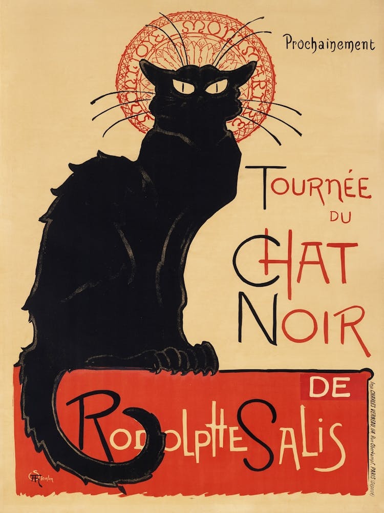 Cat Noir