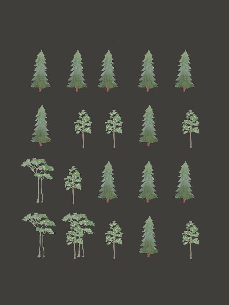 Trees