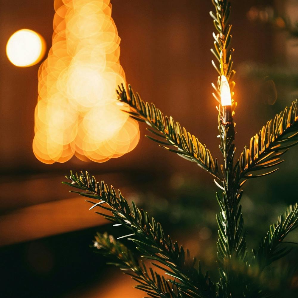 Christmas Tree 3