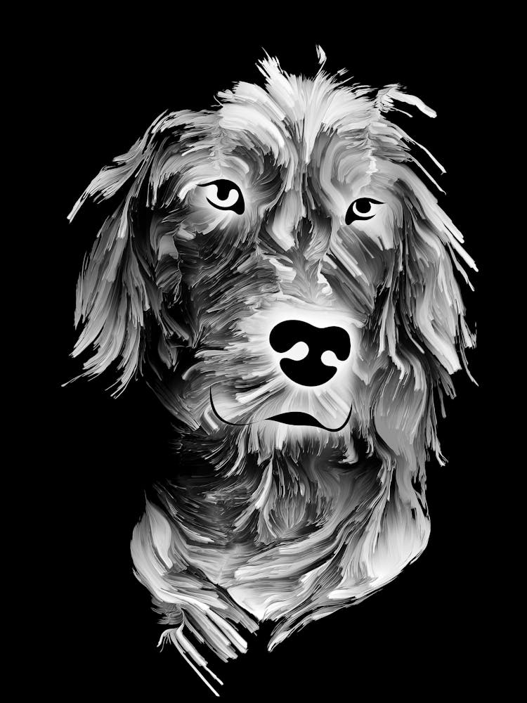Black And White Dog Portrait