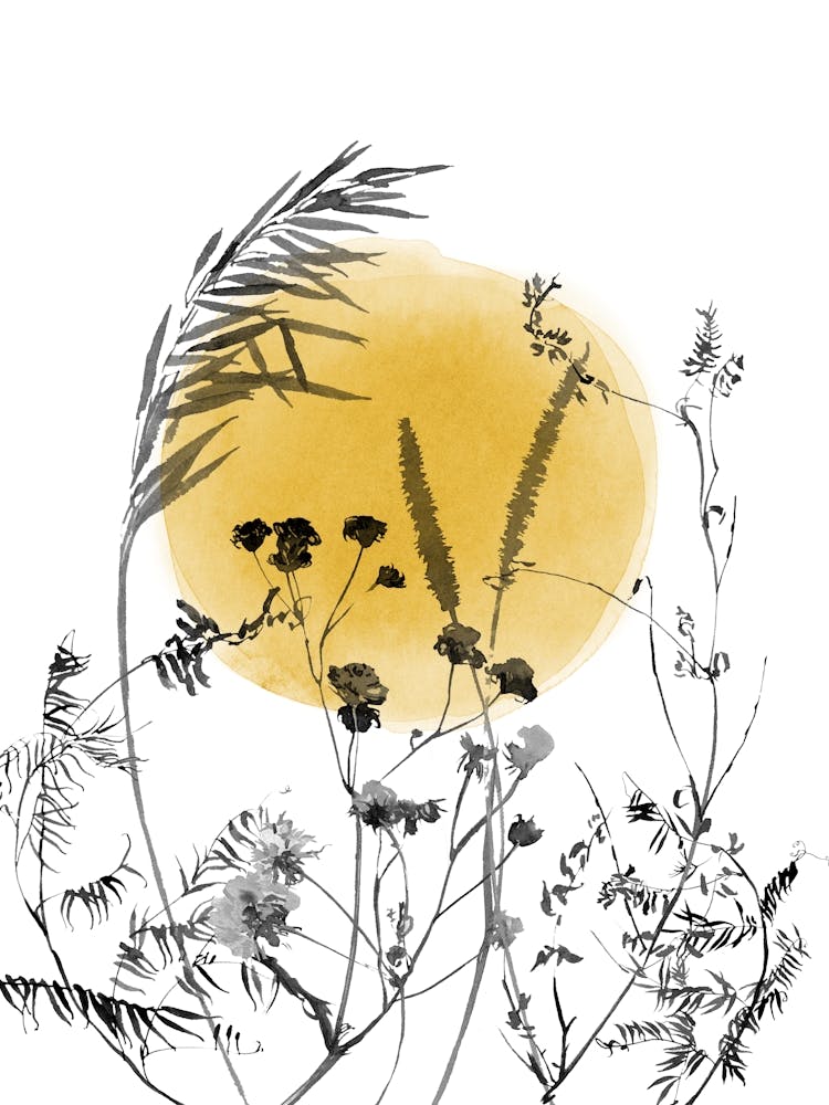 Wildflowers, Sunset in the Fields