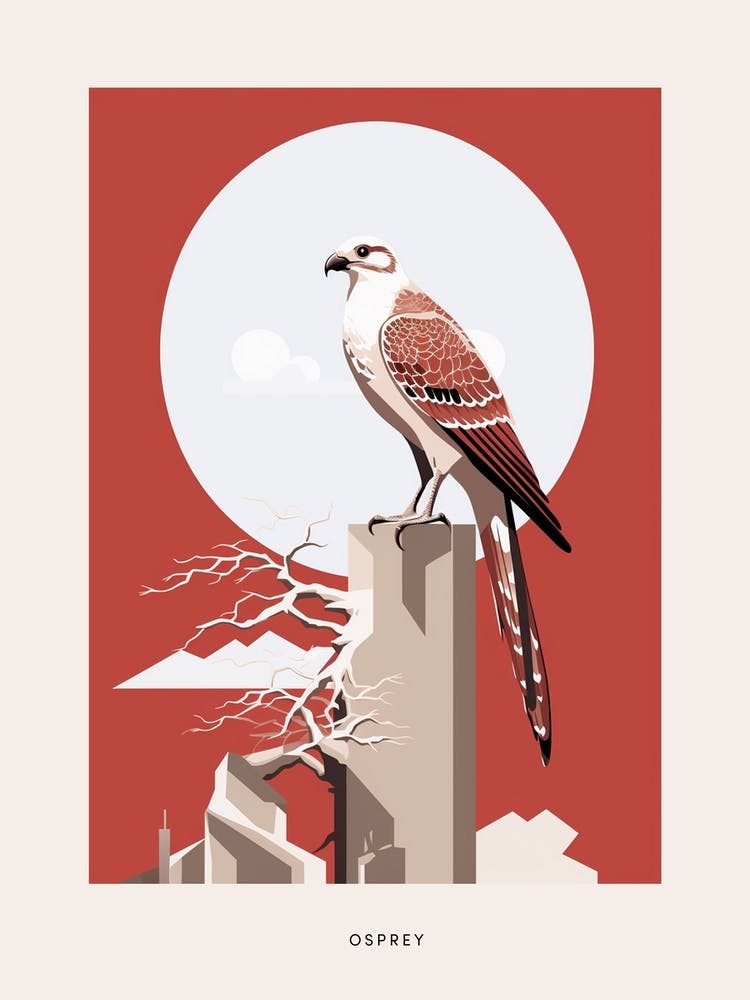 Minimalist Osprey 1 Bird Poster