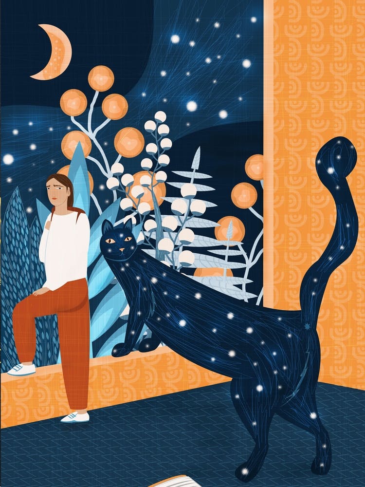 Cat And Moon