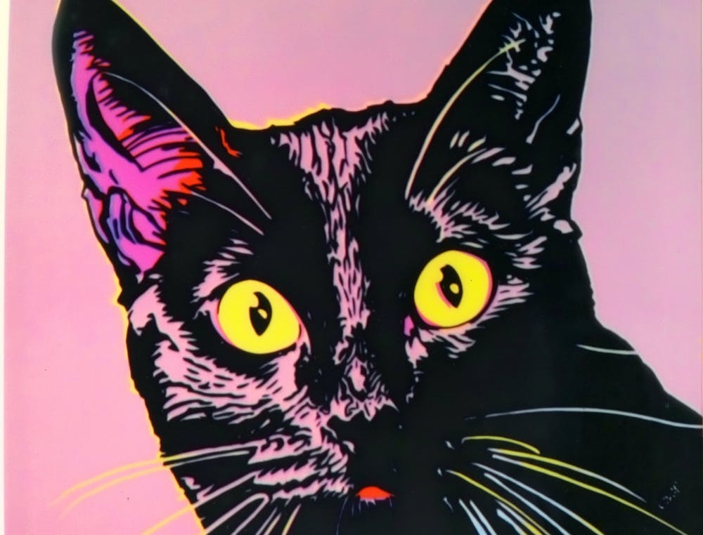 'Black Cat' 1