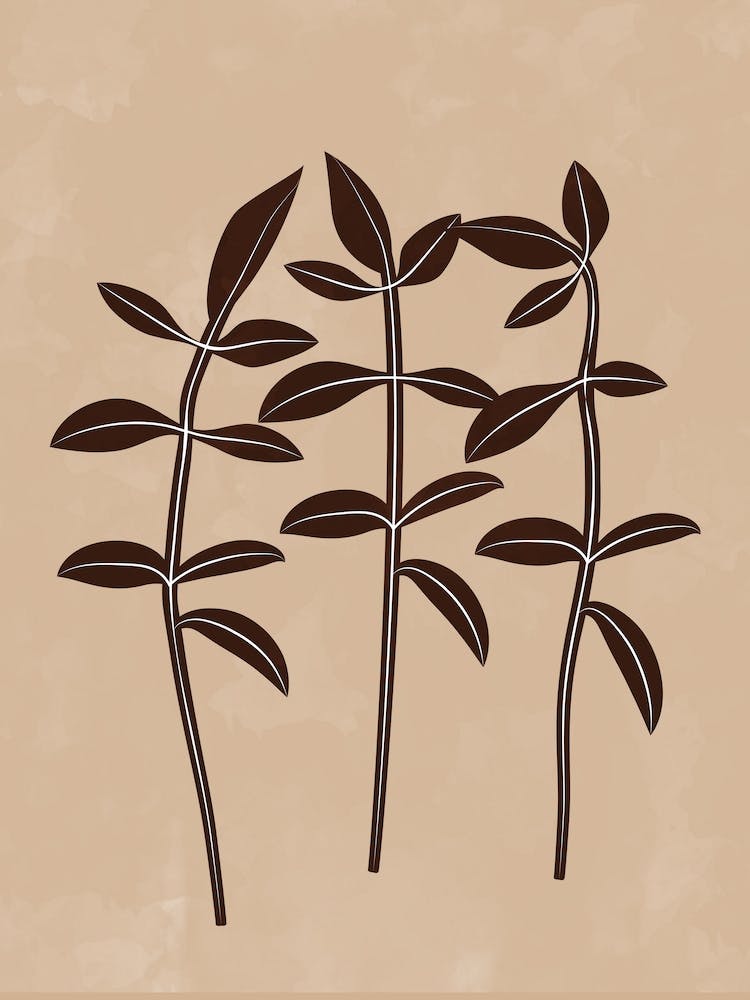 Three Leaves On A Beige Background
