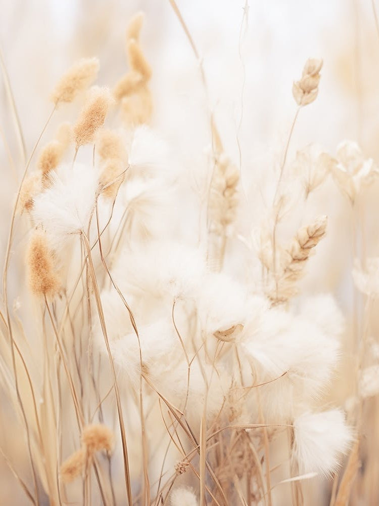 Boho Dried Flowers 4