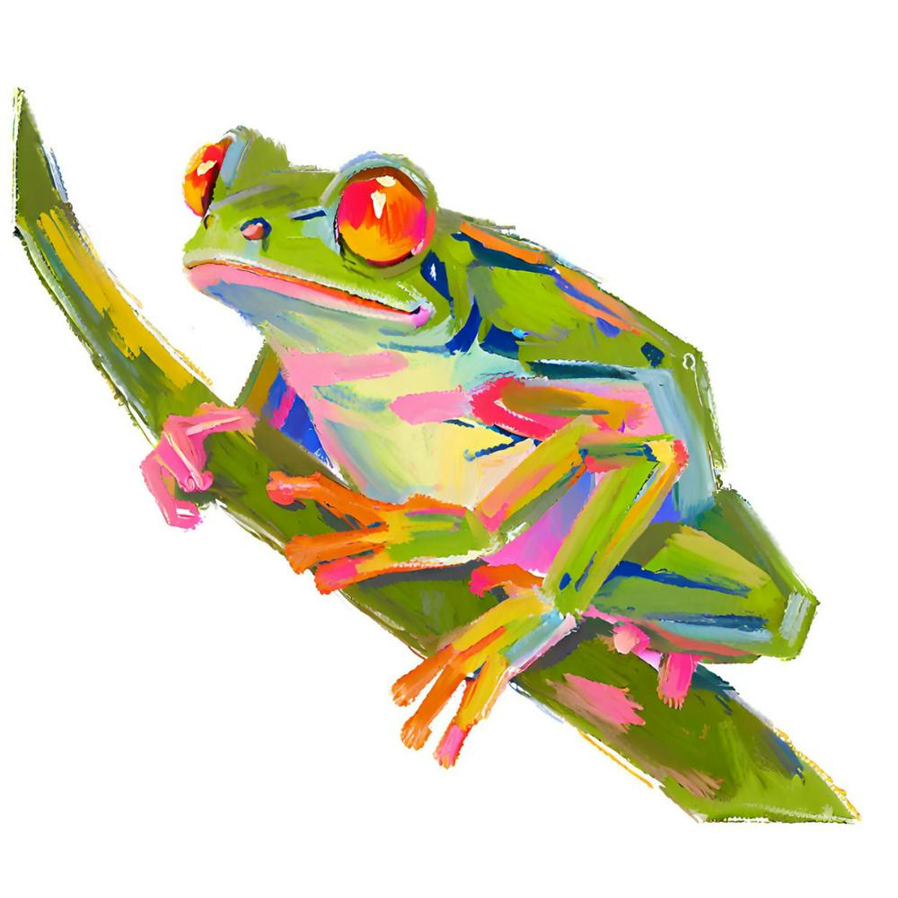 Red Eyed Tree Frog 08