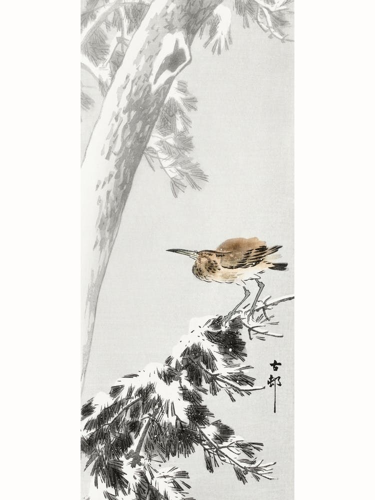Indian Quack On Snowy Tree Branch (1900 1930), Ohara Koson