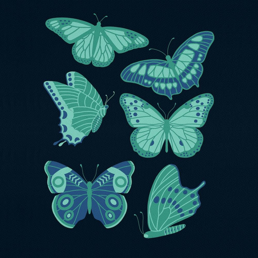 Papillons du Texas Vert et Bleu sur Marine Carré