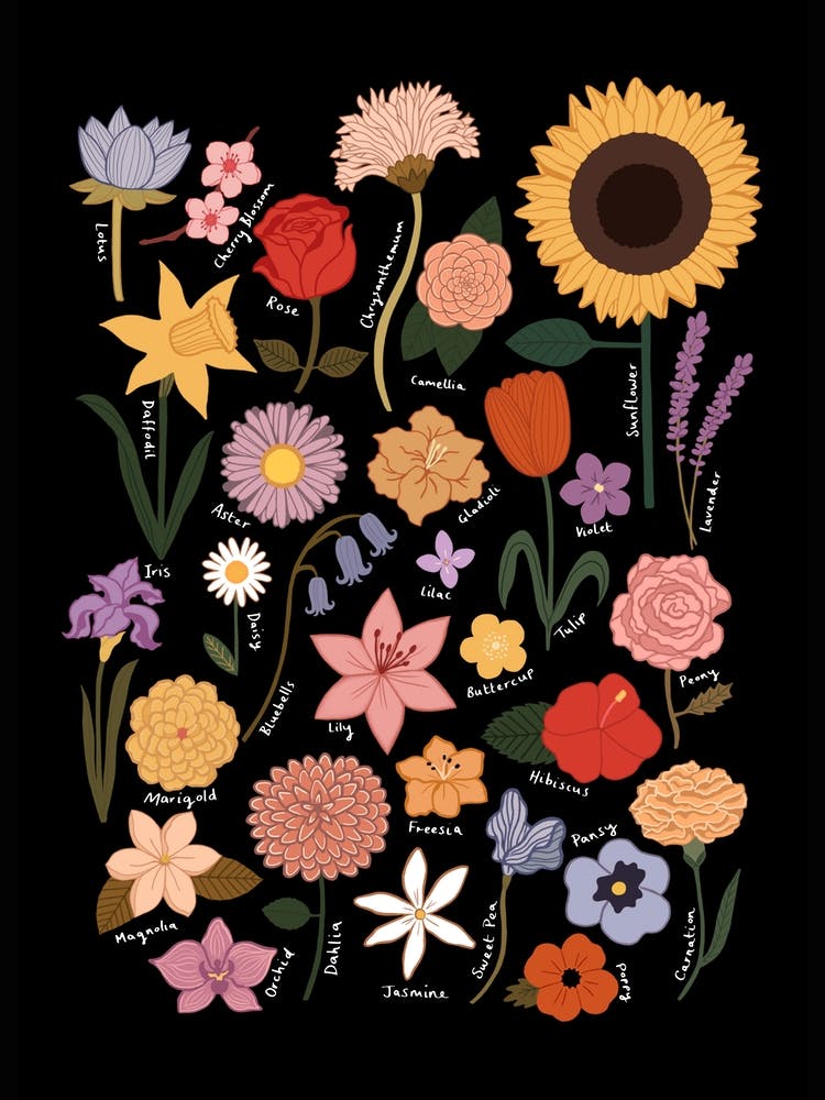Flower Chart In Black