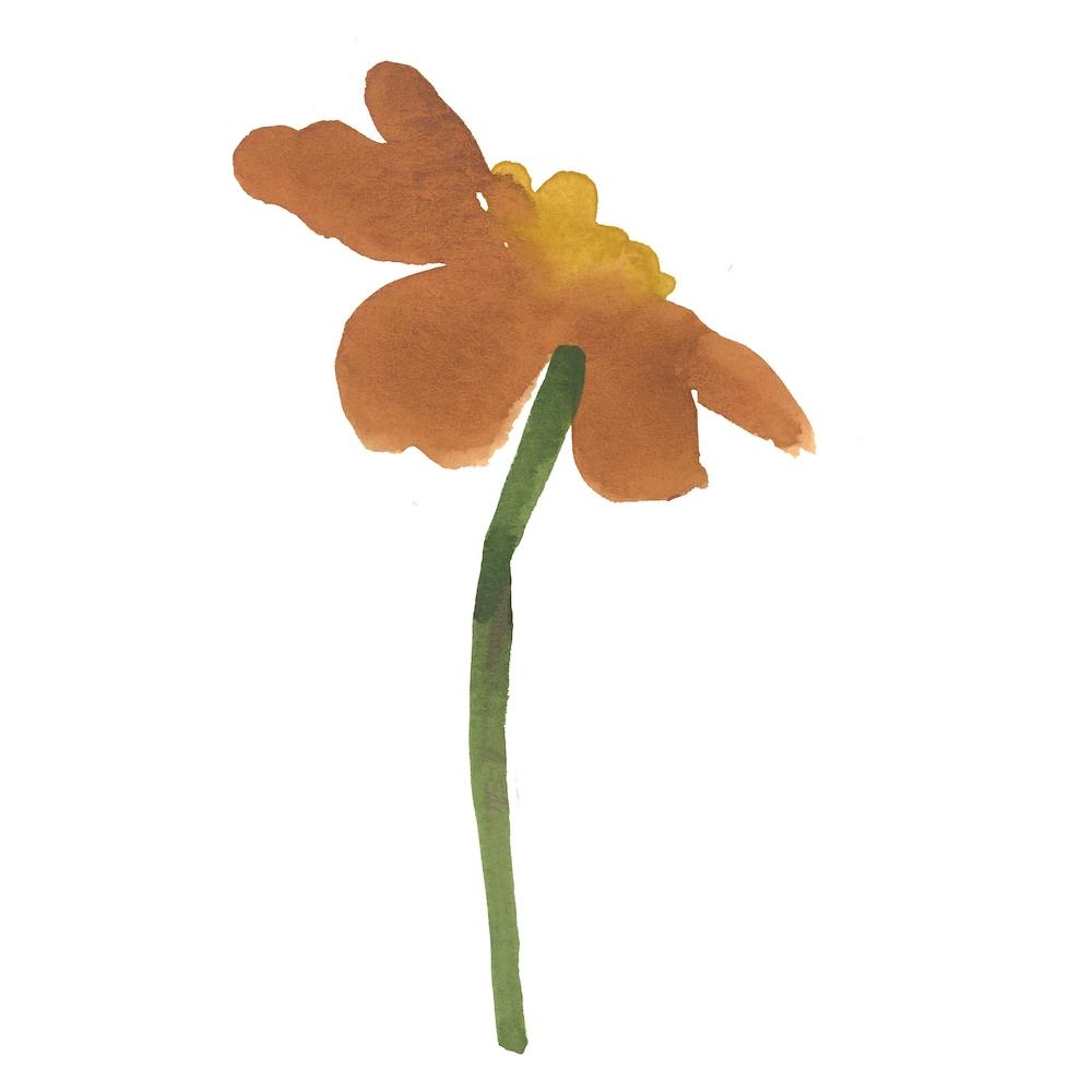 Botanical Watercolors 3 Square