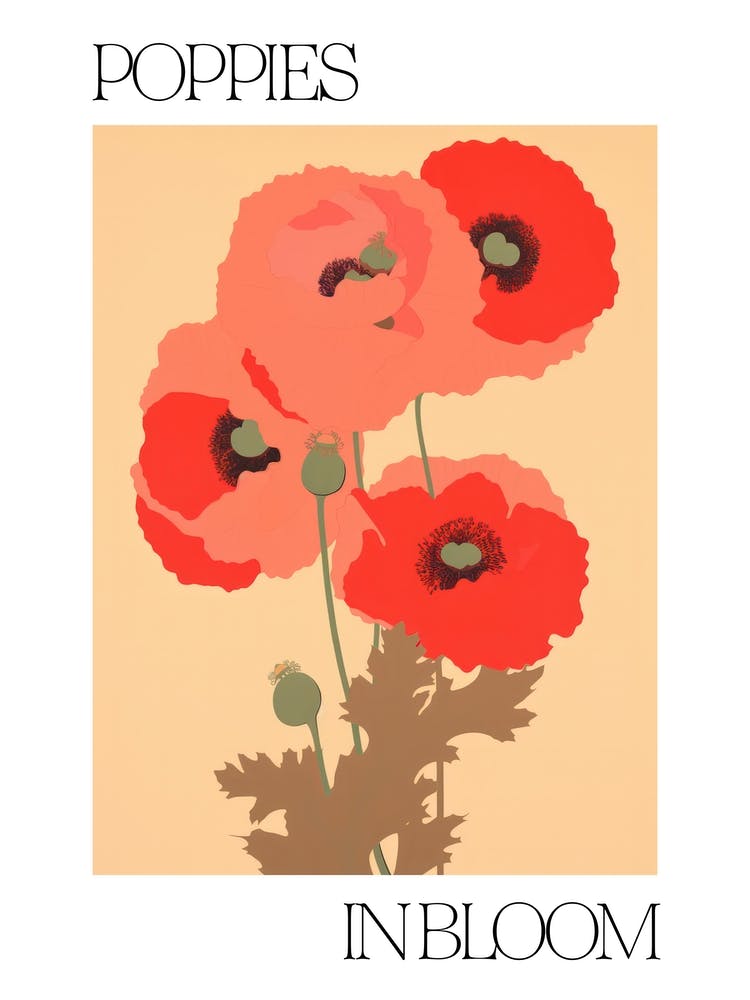 Poppies In Bloom Flowers Bold Illustration 1