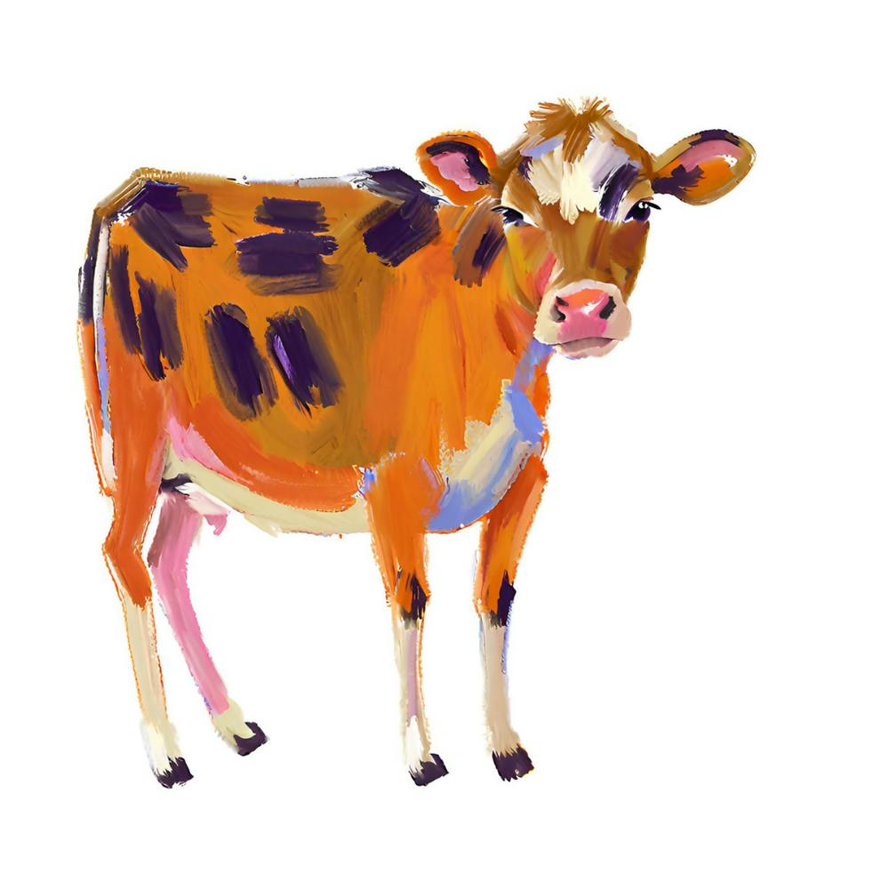 Jersey Cow 04