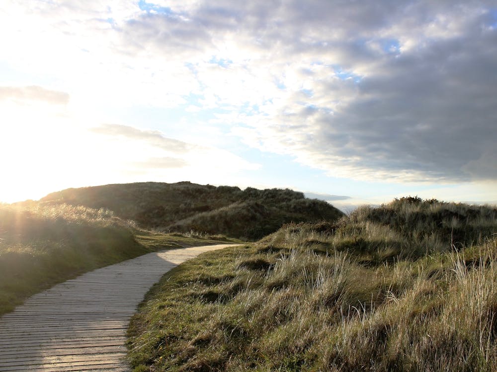 Path To The Beach