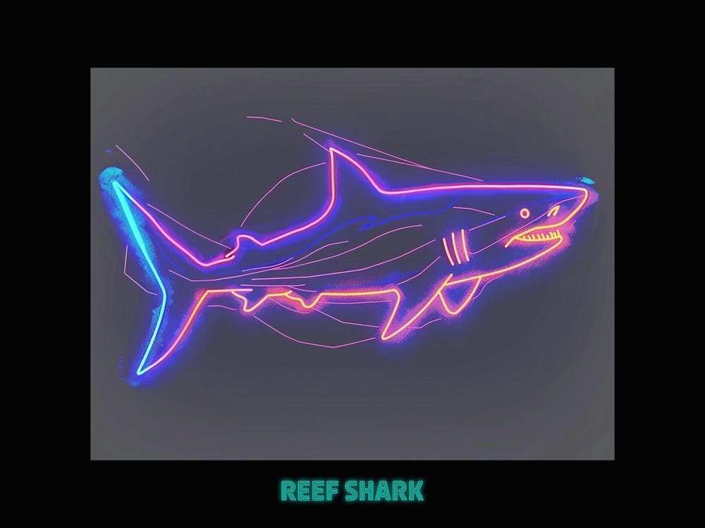 Neon White Tip Reef Shark 1 Poster