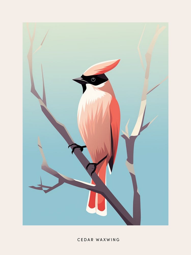 Minimalist Cedar Waxwing 1 Bird Poster