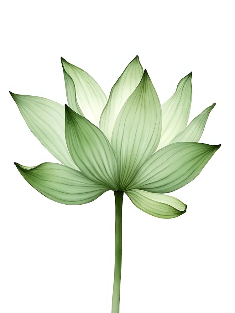 Whispering Sage Leaf Layers