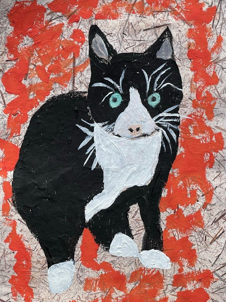 Diesel The 3-legged Cat