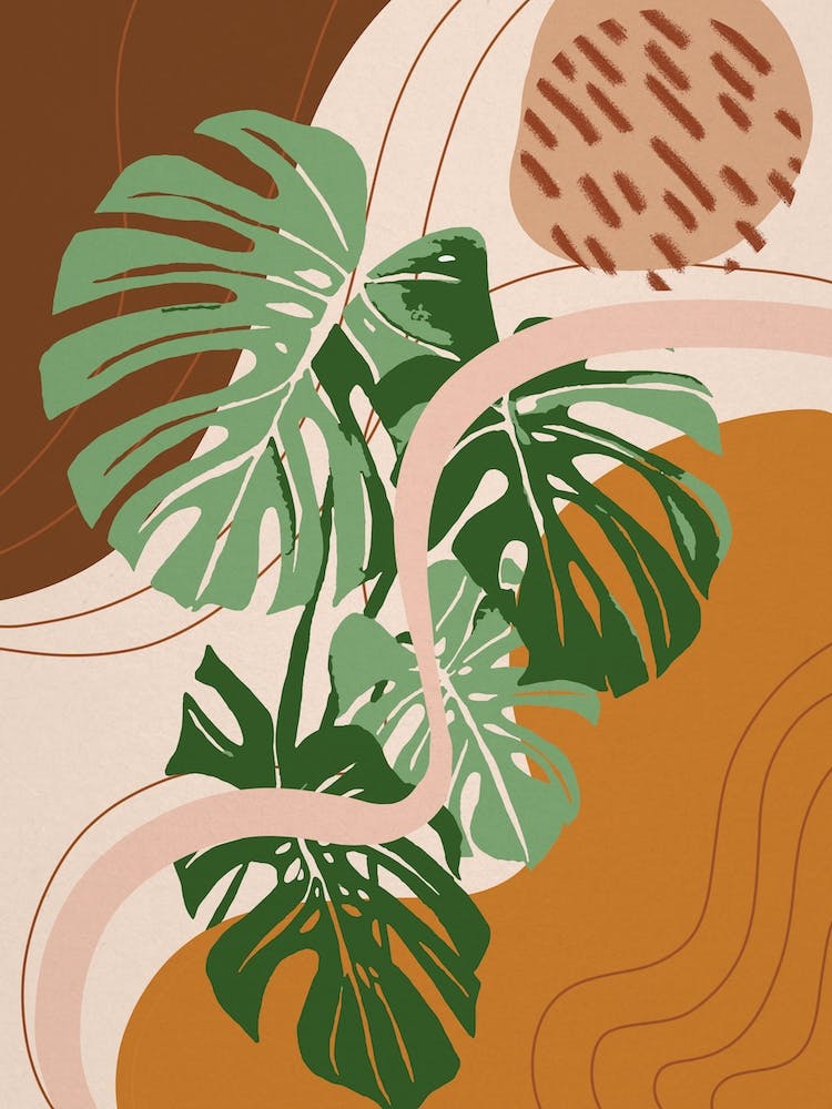 Abstract Shapes Monstera Deliciosa