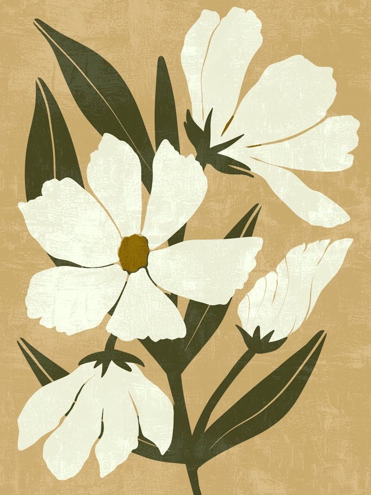White Flowers Canvas Print