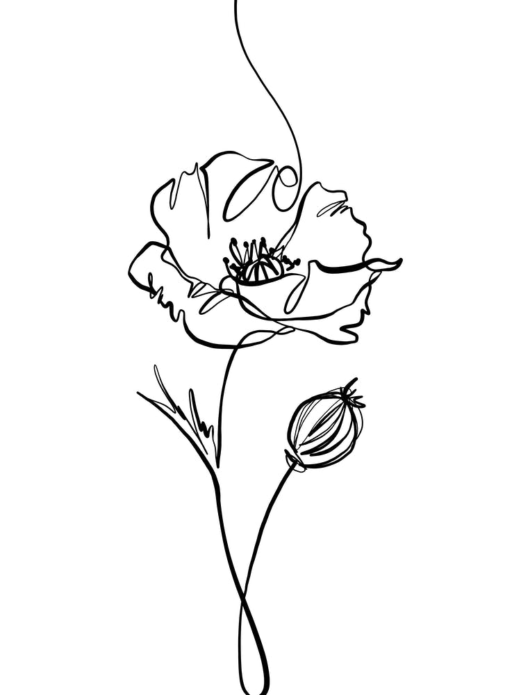 Poppy Line Drawing
