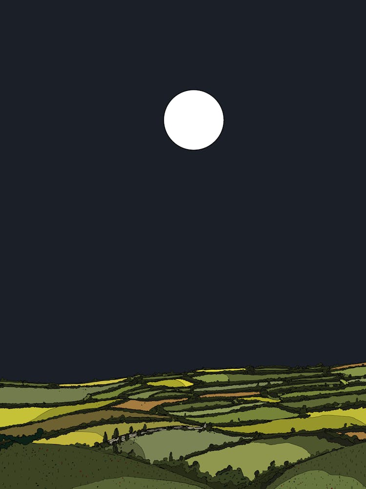 Moonlight Over The Fields