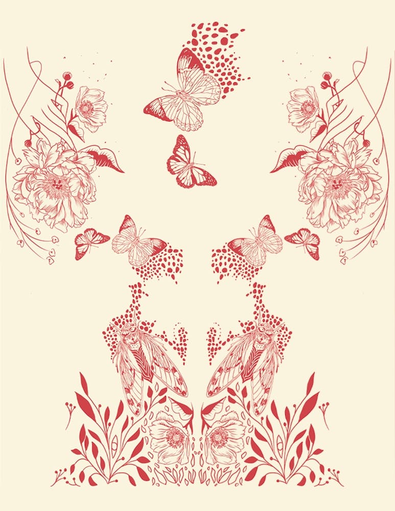 Mistery Butherfly