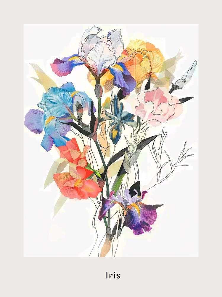 Iris 2 Collage Flower Bouquet Poster