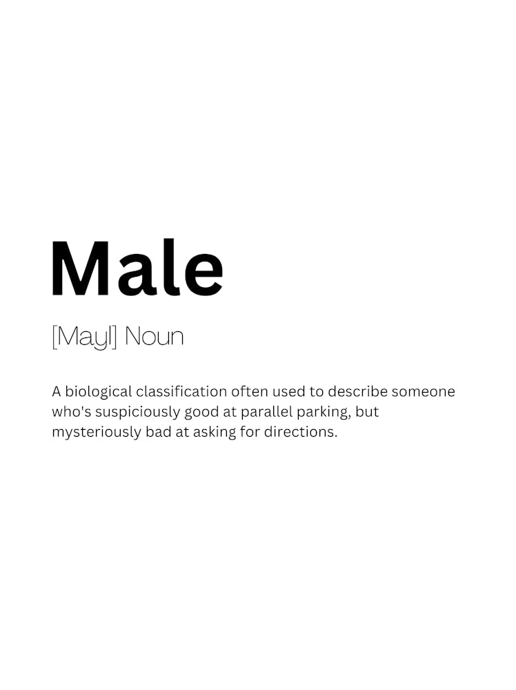 Male Definition Meaning