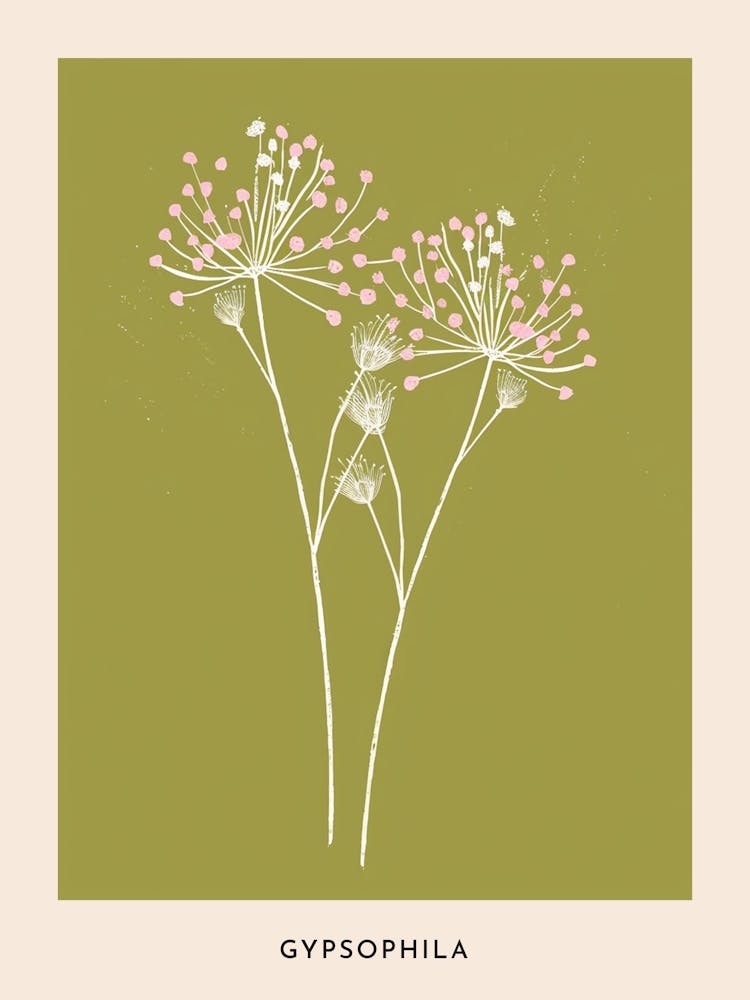 Pink & Green Gypsophila Flower Poster