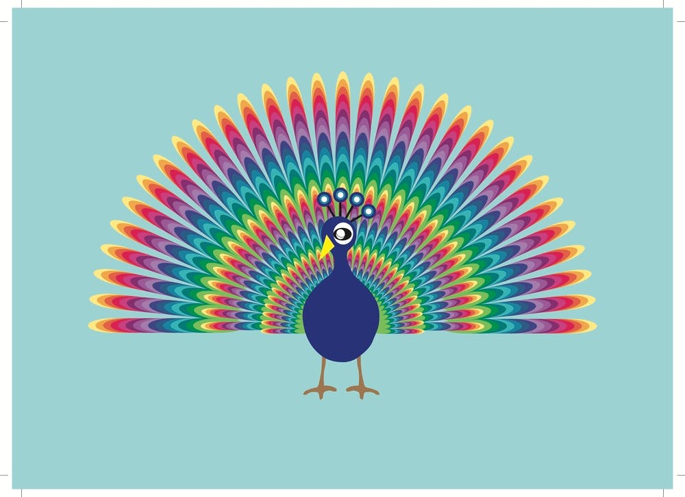 Rainbow Peacock