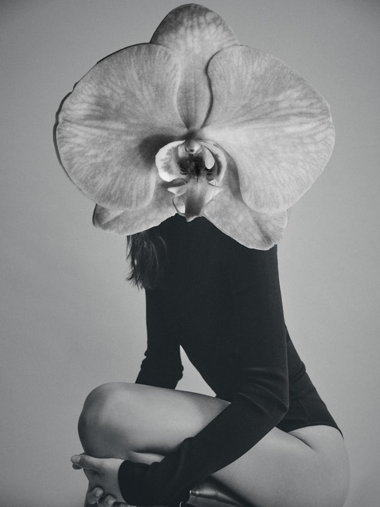 Black and White Flower Head