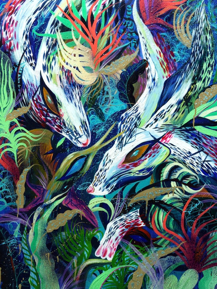 Hares in the tropics