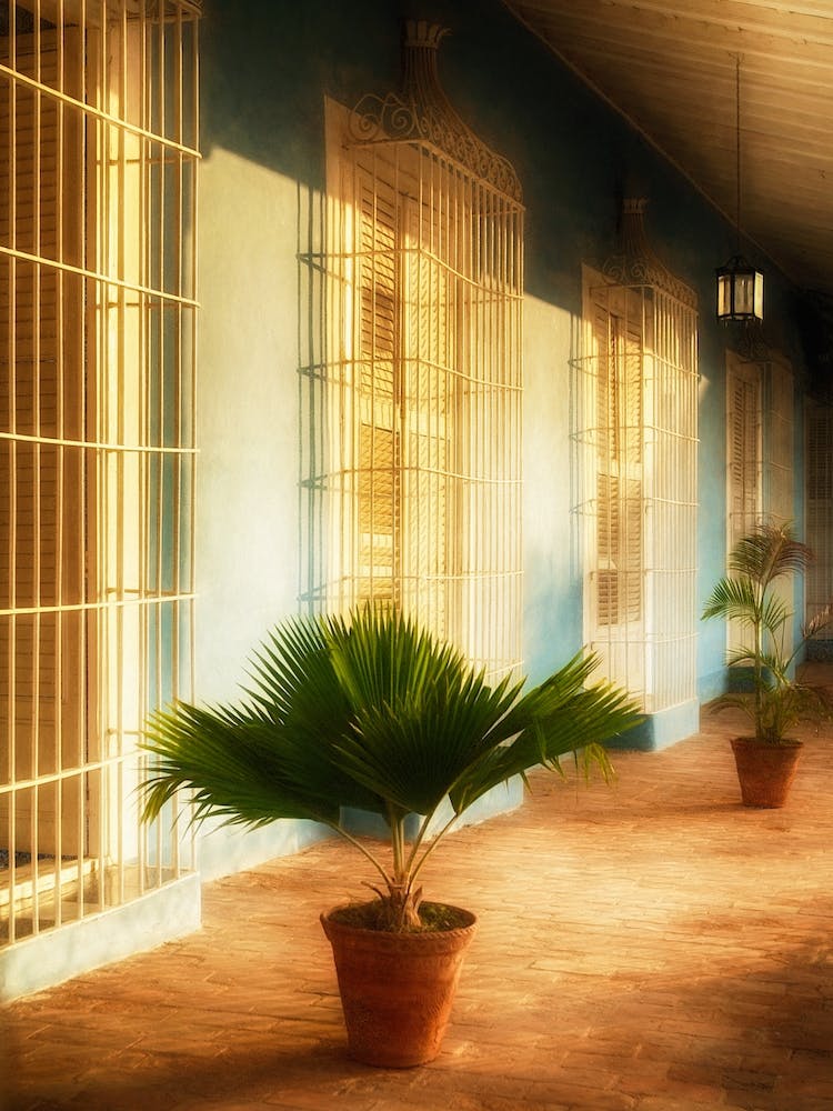 Sunlit Cuban Terrace