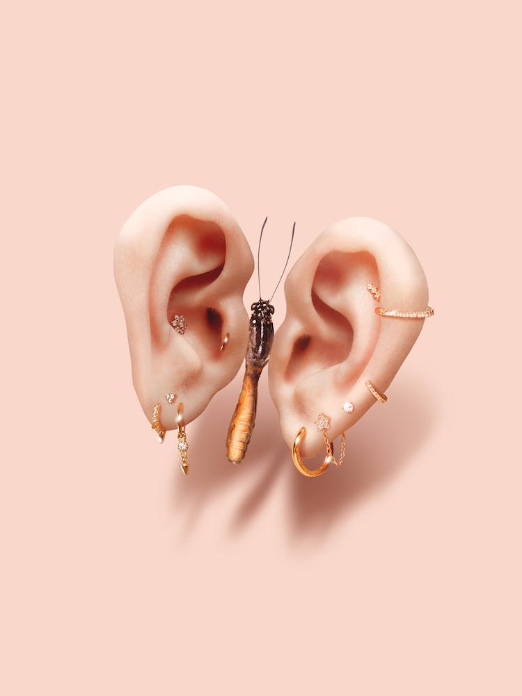 Sounds Of Nature